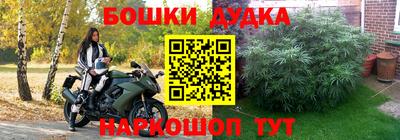 гидропоника Кулебаки